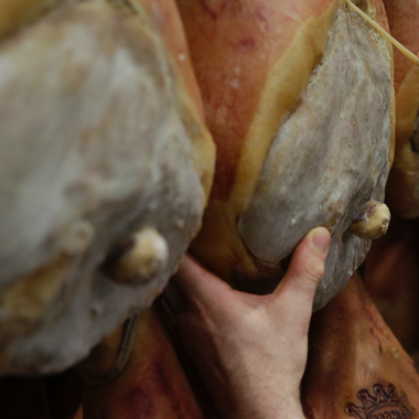 prosciutto crudo